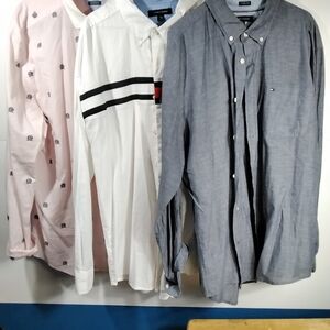 Tommy Hilfiger Pink, White, and Blue Button-Down Shirts